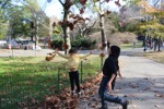 resIMG_20171121_130220_9061.JPG